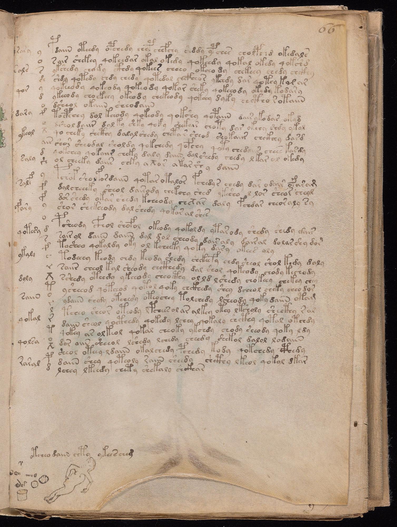 Voynich Manuscript folio f66r — Beinecke MS 408